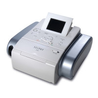 Preview: Canon SELPHY DS810