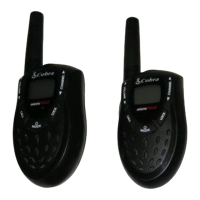 Preview: Cobra PR 650WX