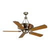 Fan Logo