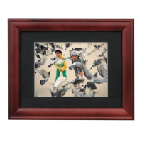 Preview: MemoryFrame MF-800 Plus