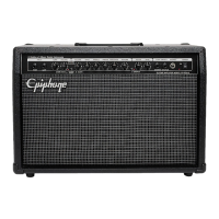 Preview: Epiphone EP-SC210