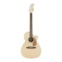Preview: Fender Sonoran SCE