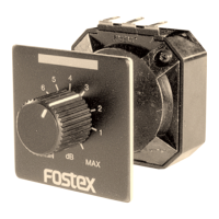 Preview: Fostex R100T