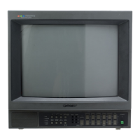 Preview: Sony Trinitron PVM-1341