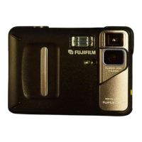 Preview: FujiFilm DX-10