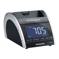 Preview: Panasonic RC-DC1