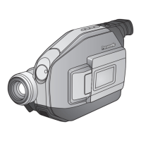 Preview: Panasonic Palmcorder PV-L353