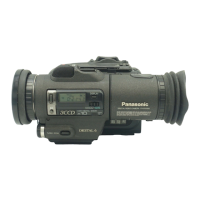 Preview: Panasonic PV-DV100