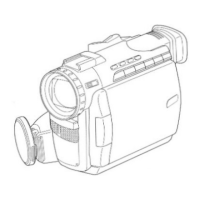 Preview: Palmcorder PalmSight PV-DV800