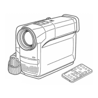 Preview: Panasonic Palmcorder PV-DV700