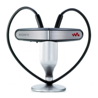 Preview: Sony NWZ-W202