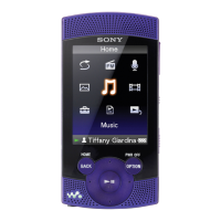 Preview: Sony Walkman NWZ-S544
