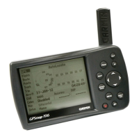 Preview: Garmin GPSMAP 196