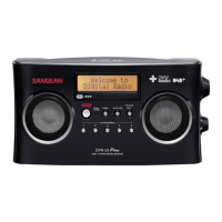 Preview: Sangean DPR-25+