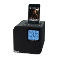Preview: iHome iH120