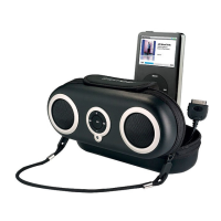 Preview: iHome iH19
