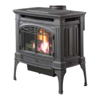 Preview: Lopi Gas Stove And Fireplace