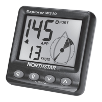 Preview: NorthStar EXPLORER W310