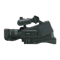 Preview: Panasonic AG-DVC20P