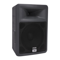 Preview: Peavey PR 12 D
