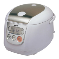Preview: Sanyo ECJ-D100S