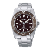Preview: Seiko SOLAR DIVERS 200M Watch