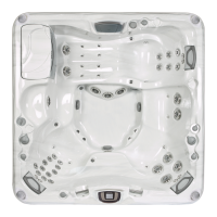 Preview: Sundance Spas ALTAMAR 880