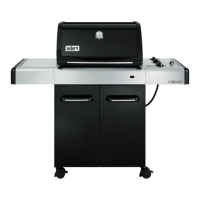 Preview: Weber 89960