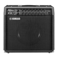 Preview: Yamaha DG60-112