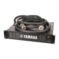 Preview: Yamaha PW1D