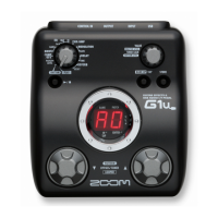 Preview: Zoom G1U