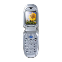 Preview: Samsung SGH-E300