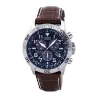 Preview: Perpetual Calendar BL5250-02L