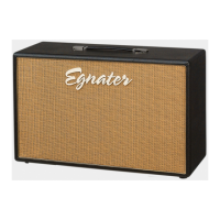 Preview: Egnater Renegade 112