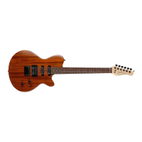 Preview: Godin Exit22
