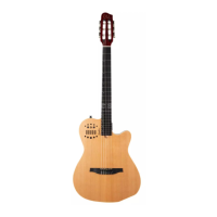 Preview: Godin ACS-SA Slim