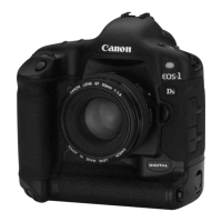 Preview: Canon EOS-1Ds