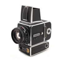 Preview: Hasselblad 500EL/M