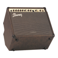 Preview: Ibanez Troubadour TA35