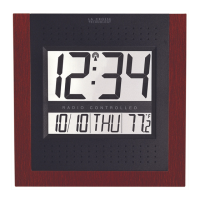 Preview: La Crosse Technology WS-6003U