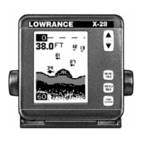 Preview: Lowrance X-28