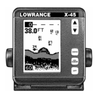 Preview: Lowrance X-45