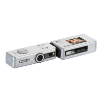 Preview: Minox DSC