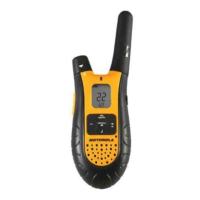 Preview: Motorola TalkAbout SX800R