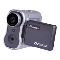 Preview: Mustek DV 3032