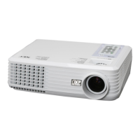 Preview: NEC NP100