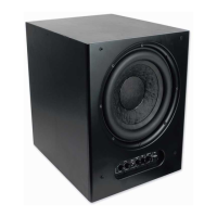 Preview: Niles SW300