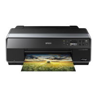 Preview: Epson Stylus Photo R3000