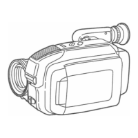 Preview: Palmcorder PalmSight PV-L557