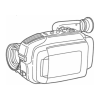 Preview: Palmcorder PalmSight PV-L657